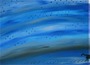 DSCN0083